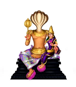 Mool Nakshtra Dosh Pooja