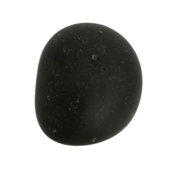 Shaligram