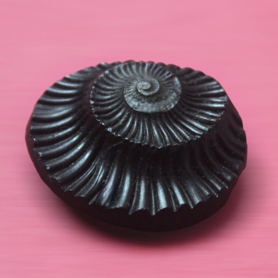Sudarshan Shaligram