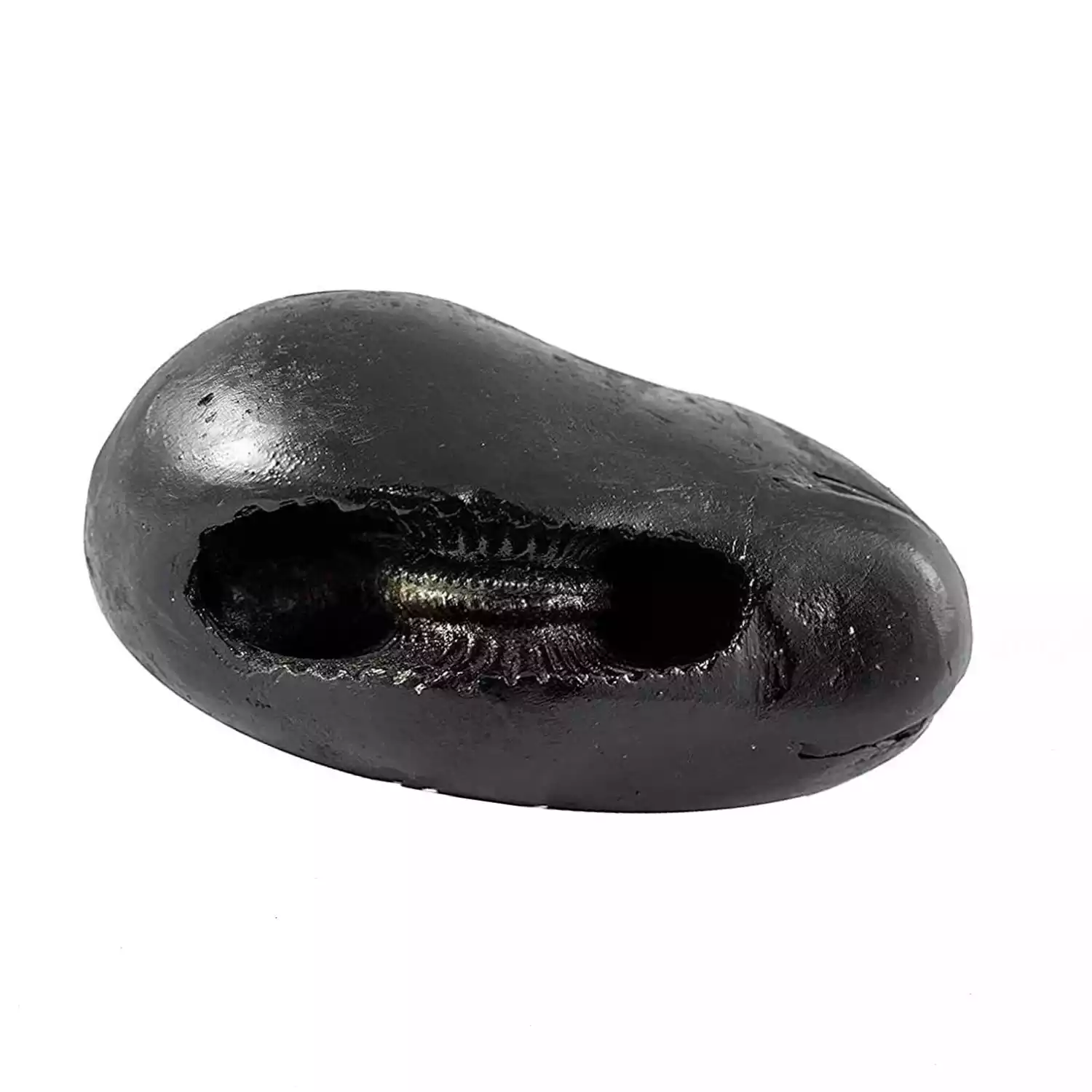 Laxmi Narayan Shaligram