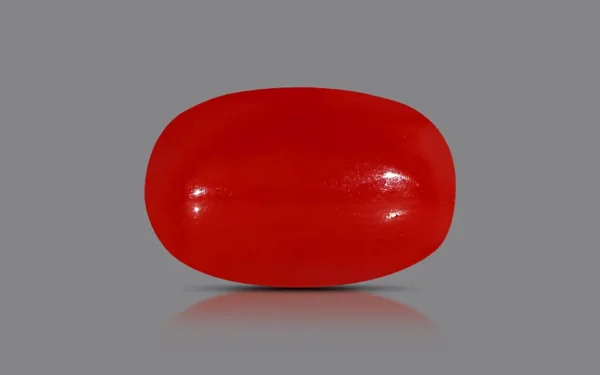 Mangal-munga Red Coral